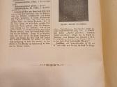 Parduodu knyga,1881 - nuotraukos Nr. 7