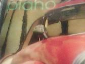 CD Jazz-rock, Blues,soul. - nuotraukos Nr. 22