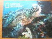Dėlionė National Geographic ,Sea Turtle" 500