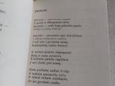 Laukiu tavęs - nuotraukos Nr. 3