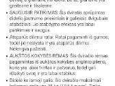 Vaikiškas kalnų dviratis - nuotraukos Nr. 3