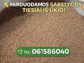 Parduodu garstyčias