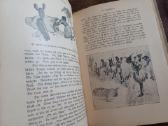 Parduodu knyga.juoko knyga 1912m - nuotraukos Nr. 26