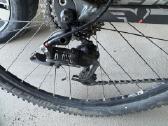 Felt 29 er - nuotraukos Nr. 2