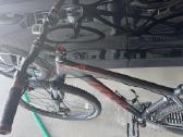 Felt 29 er - nuotraukos Nr. 4