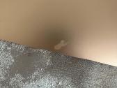 MacBook Air M1 (2020) - nuotraukos Nr. 6