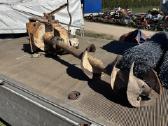 Žemės ūkio technika, kėlimo transporteriai padarga - nuotraukos Nr. 38