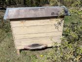 Parduodami Bičių Aviliai Ir Inventorius - nuotraukos Nr. 5