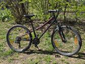 Dviratis Specialized - nuotraukos Nr. 2