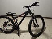 Bulls sharptail 1