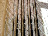Parduodami Ngt Carp Stalker karpiniai kotaiilgis