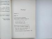 Nouwen. Siekimas. Sūnaus palaidūno sugrįžimas - nuotraukos Nr. 4