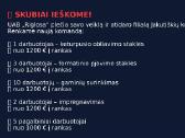 UAB Riglosa Ieško Darbuotojų