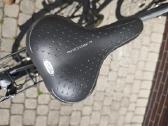 Dviratis Riverside d4-tr XL remas 21 begis - nuotraukos Nr. 9