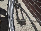 Dviratis Riverside d4-tr XL remas 21 begis - nuotraukos Nr. 10