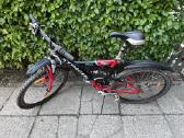 MTB Stinger 1700 dviratis - nuotraukos Nr. 2
