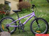 Naujas 20 Cross Harmony violetinis - nuotraukos Nr. 2