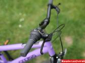 Naujas 20 Cross Harmony violetinis - nuotraukos Nr. 7
