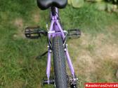 Naujas 20 Cross Harmony violetinis - nuotraukos Nr. 8