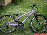 Naujas 24 Cross Harmony violetinis