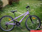 Naujas 24 Cross Harmony violetinis - nuotraukos Nr. 2