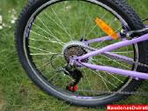 Naujas 24 Cross Harmony violetinis - nuotraukos Nr. 3