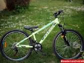 Naujas 26 Cross Boxer salotinis