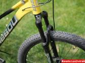 Naujas 26 Tabou Venom 3.0 auksinis - nuotraukos Nr. 5