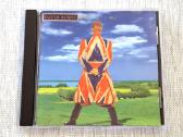 David Bowie - Earthling (CD, Albumas)