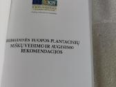 Hibridinės tuopos plantacinių miškų veisimo ir aug - nuotraukos Nr. 2