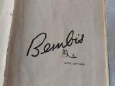 Bembis - nuotraukos Nr. 2