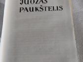 Juozas Paukštelis - nuotraukos Nr. 2