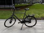 Gazelle Orange C7 XXL aukštam vyrui
