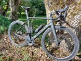 De Rosa Protos
