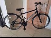 Hybrid Bike (almost like new) - nuotraukos Nr. 4