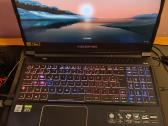 Acer Predator helios 300 rtx 3070 8gb