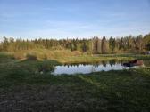 Parduodama sodyba Klekniškės k. Šilales raj - nuotraukos Nr. 8