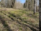 Parduodamas sklypas - nuotraukos Nr. 4