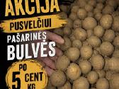 Bulvės pašarinės