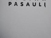 Dviračiu aplink pasaulį - nuotraukos Nr. 3