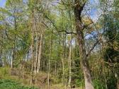 Parduodu sodybą - nuotraukos Nr. 2
