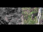 Drono paslaugos: termovizija/fotografavimas - nuotraukos Nr. 9