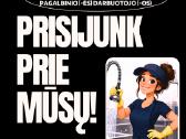 Indų plovėja (-as) / pagalbinis darbuotojas (-a)