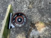 Penny board - nuotraukos Nr. 3