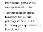 Sintizatoriu psr463 - nuotraukos Nr. 2