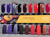 Ntn Premium gelinis lakas nagams Oriental Delice - nuotraukos Nr. 2