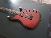 S&g custom gitara