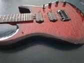 S&g custom gitara - nuotraukos Nr. 5