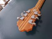 Samick Neck Through Gitara 70tieji Koreja - nuotraukos Nr. 18