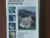 Atvirukų rinkinys - Jūros kriauklės ( 25 atv. )